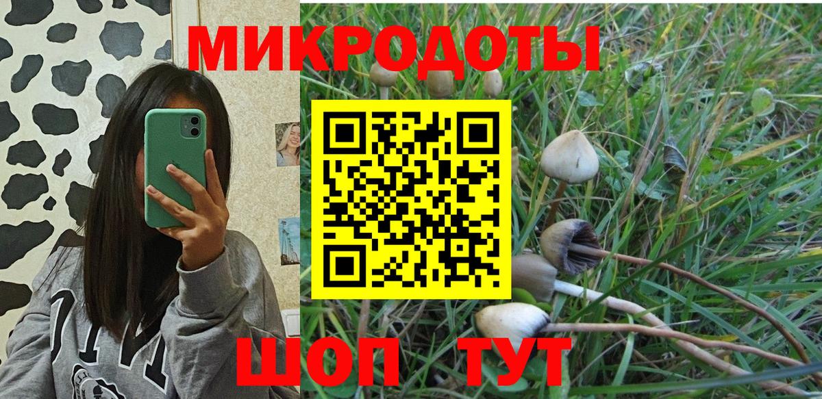 Псилоцибиновые грибы MAGIC MUSHROOMS  Галлюциногенные грибы ЛСД  Казань  Вход с VPN 